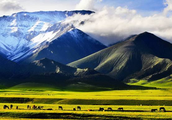 http://www.mep.gov.cn/gzfw/tpk/hbzjpic/ryzr/201105/W020110524523808930403.jpg