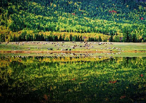 http://www.mep.gov.cn/gzfw/tpk/hbzjpic/ryzr/201105/P020110524523798262952.jpg